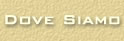 Dove Siamo